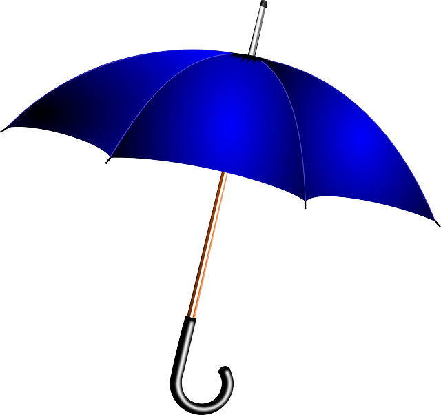 modrý deštník